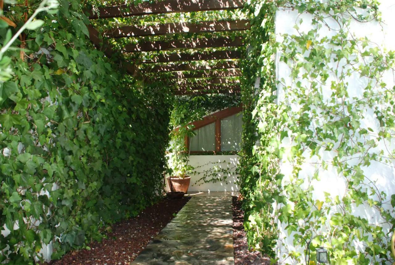 Casa Del Mediterraneo Tamarindo Exterior foto